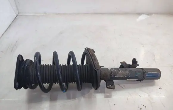 Ford Kuga II Front shock absorber with coil spring