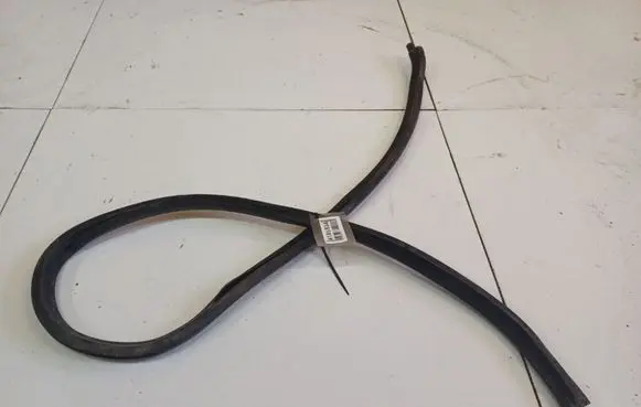 Volkswagen PASSAT B5.5 Rubber seal front coupe door 