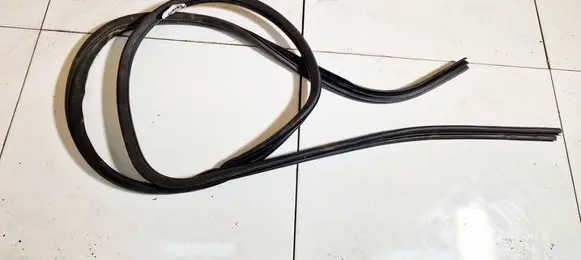 Ford Focus C-MAX Rubber seal front coupe door 