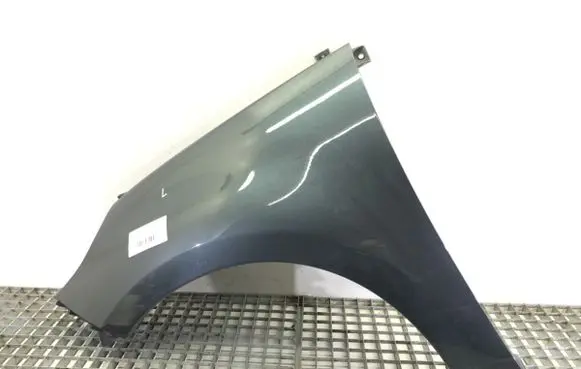Fender