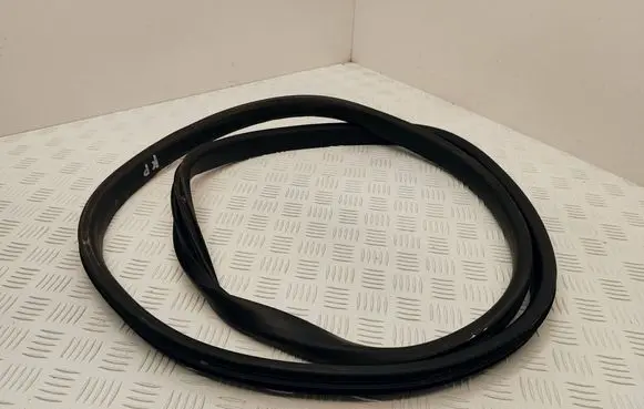 Renault Scenic IV - Grand scenic IV Front door rubber seal 