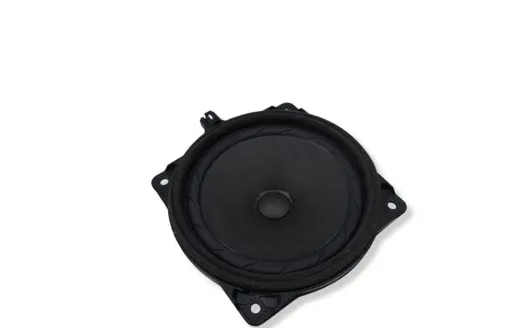 Hyundai Santa Fe Rear door speaker 963302W000