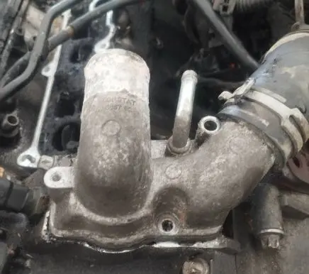 Opel Signum Engine coolant pipe/hose