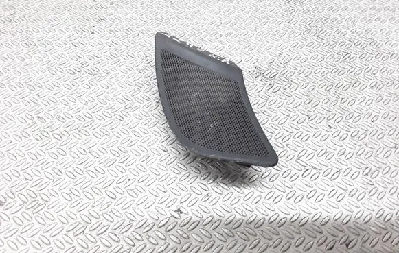 Front door high frequency speaker