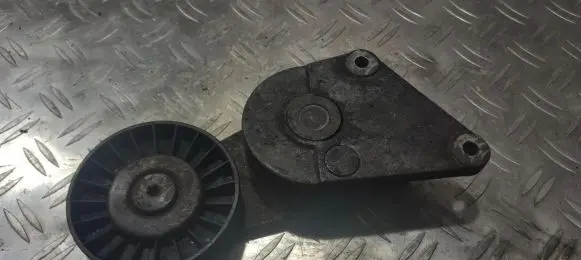Peugeot 406 Generator/alternator belt tensioner 9626365280