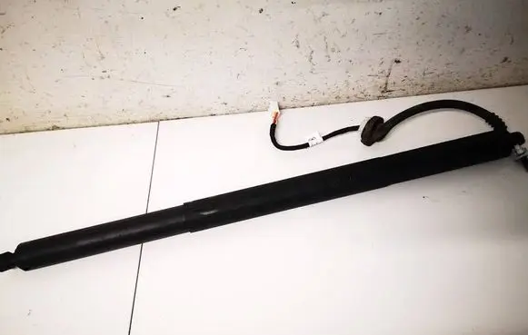 Tesla Model Y Tailgate/trunk strut/damper 