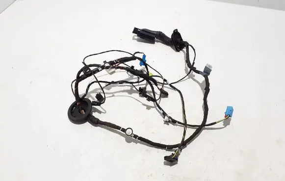 Audi A3 8Y Other wiring loom 8Y1971030AC