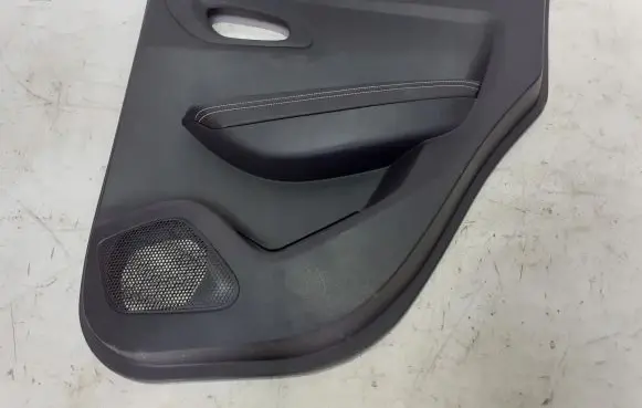 Renault Kadjar Rear door card panel trim 156088701