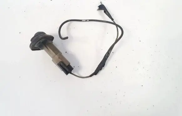 Audi A4 S4 B6 8E 8H Front door sensor 