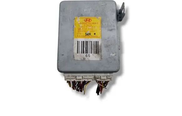 Hyundai Terracan Light module LCM 95400-H1600