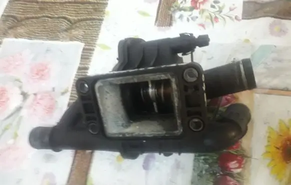 Thermostat/thermostat housing