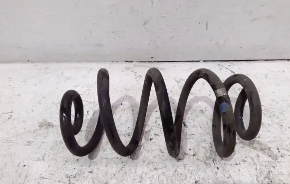 Nissan Qashqai Rear coil spring