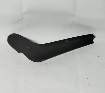 Rear/tail light trim molding