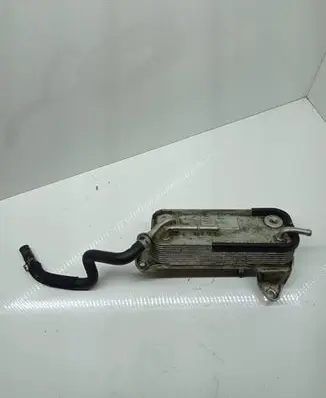 Mercedes-Benz C W203 Fuel cooler (radiator) A6120700079 16718