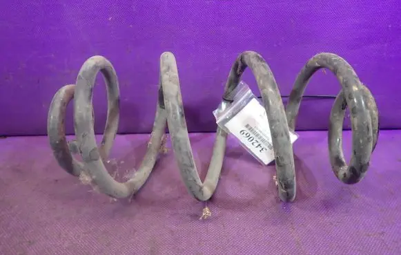 Volkswagen PASSAT B5.5 Rear coil spring