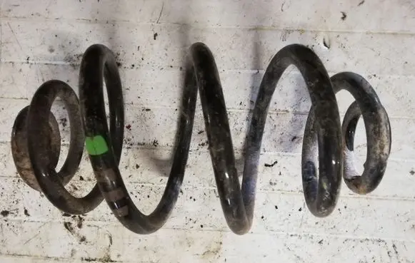 Volkswagen PASSAT B5.5 Rear coil spring NOCODE