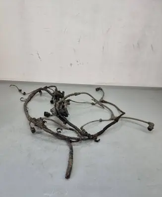 Cupra Born Other wiring loom
