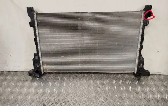 Renault Trafic III (X82) Coolant radiator 93868888 214104966R