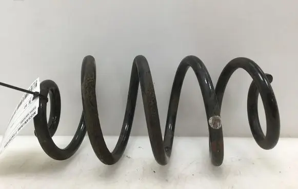 Nissan Juke I F15 Rear coil spring 