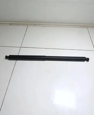 Tailgate strut