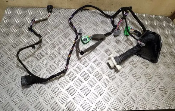 Front door wiring loom