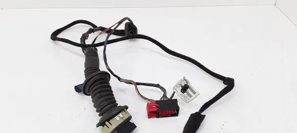 Peugeot 307 Front door wiring loom 426221