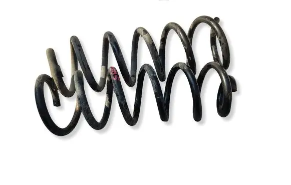 Dacia Sandero II Rear coil spring 