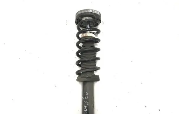 BMW X3 F25 Rear shock absorber/damper 6796317