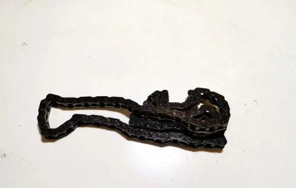 BMW 5 E39 Timing chain (engine) 