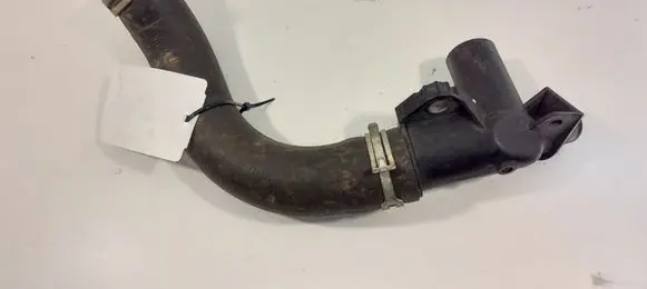 Engine coolant pipe/hose