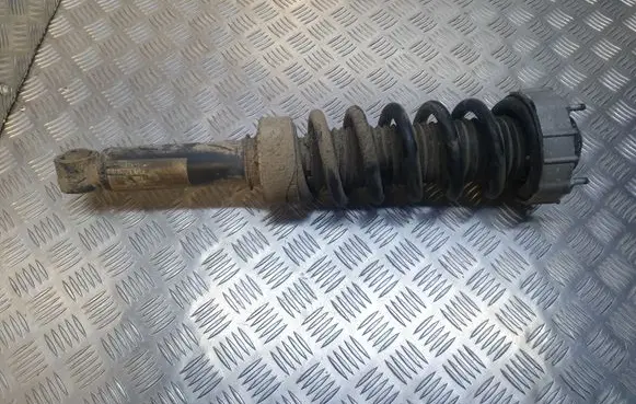 Audi Q7 4L Rear shock absorber/damper 4L0513029B