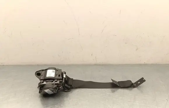 Tesla Model Y Juniper Rear seatbelt 3857805E1F