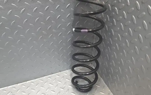 Rear coil spring