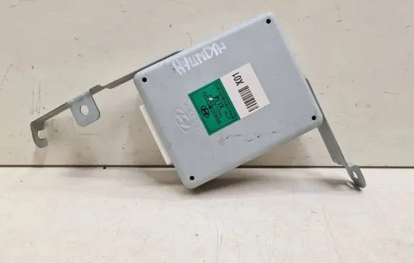 Hyundai Elantra Other control units/modules 954002D000