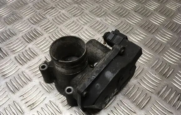 Throttle body valve