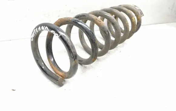 Rear coil spring