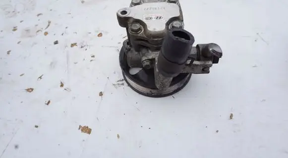 Hyundai H-1, Starex, Satellite Power steering pump