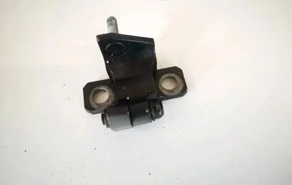 Rear door lower hinge