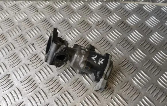 EGR valve