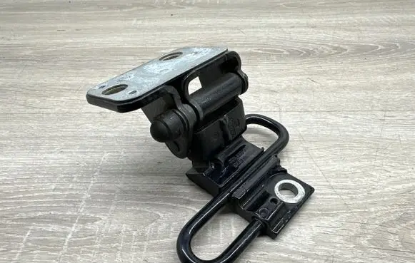 Volkswagen PASSAT CC Rear door lower hinge 3c8833411