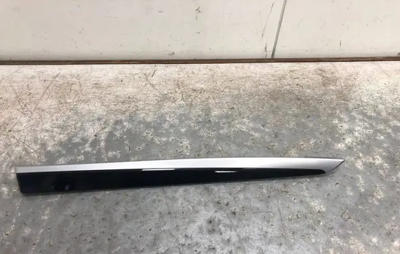 Other rear door trim element
