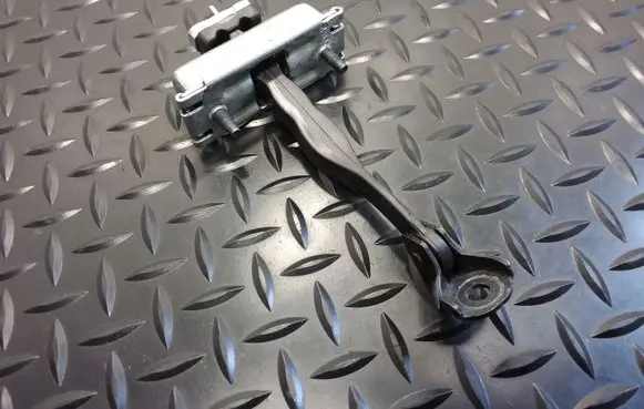 Ford Fusion II Front door check strap stopper