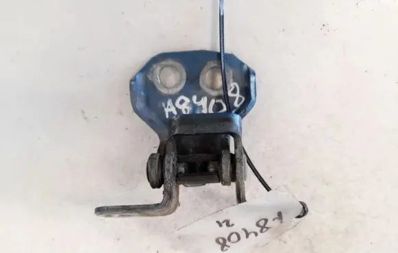 Ford Fiesta Rear door lower hinge