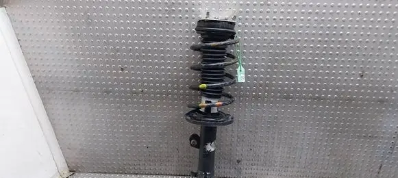 Ford Ecosport Front shock absorber/damper FN1C-18045-AB