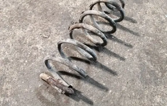 Volkswagen Golf V Rear coil spring