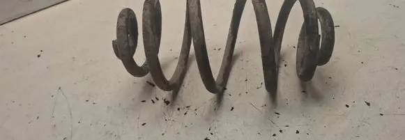 Rear coil spring