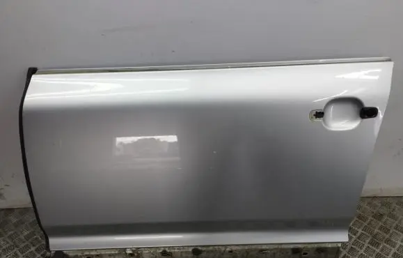Porsche Cayenne (9PA) Front door
