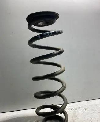 Volkswagen PASSAT B6 Rear coil spring