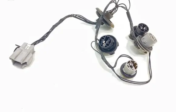 Ford Transit - Tourneo Connect Tail light bulb cover holder