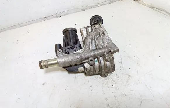 Jaguar XF X250 EGR valve 701881040 09T314